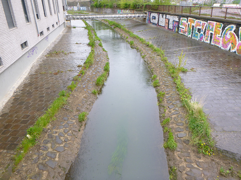 Leipzig Parthe